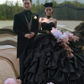 云杉坪-漫游森林