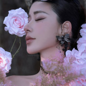 云杉坪-漫游森林