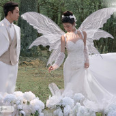 云杉坪-林中的光