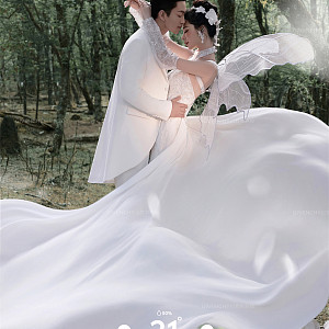 云杉坪-林中的光