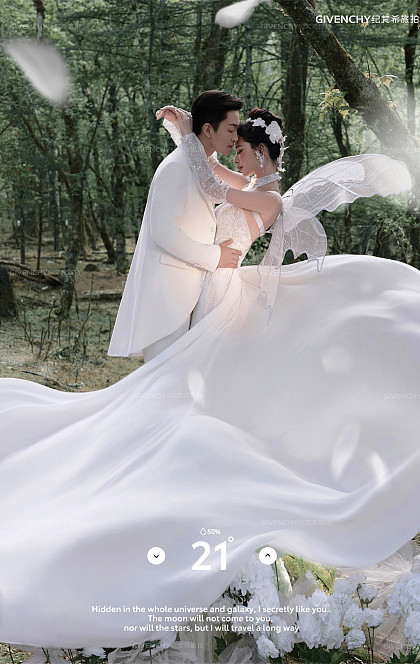 云杉坪-林中的光