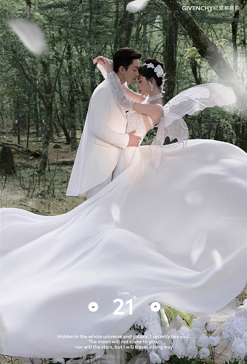 云杉坪-林中的光