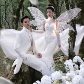 云杉坪-林中的光