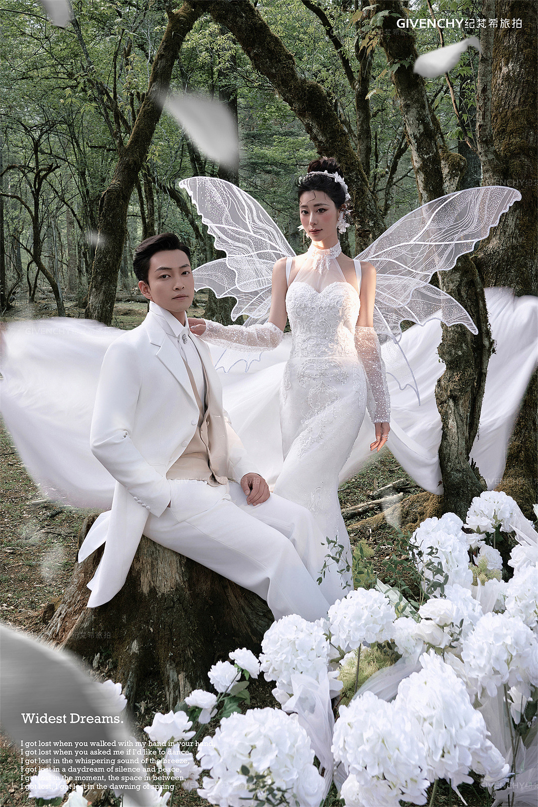 云杉坪-林中的光