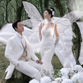 云杉坪-林中的光