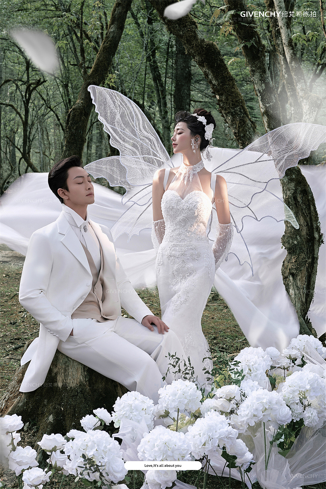 云杉坪-林中的光