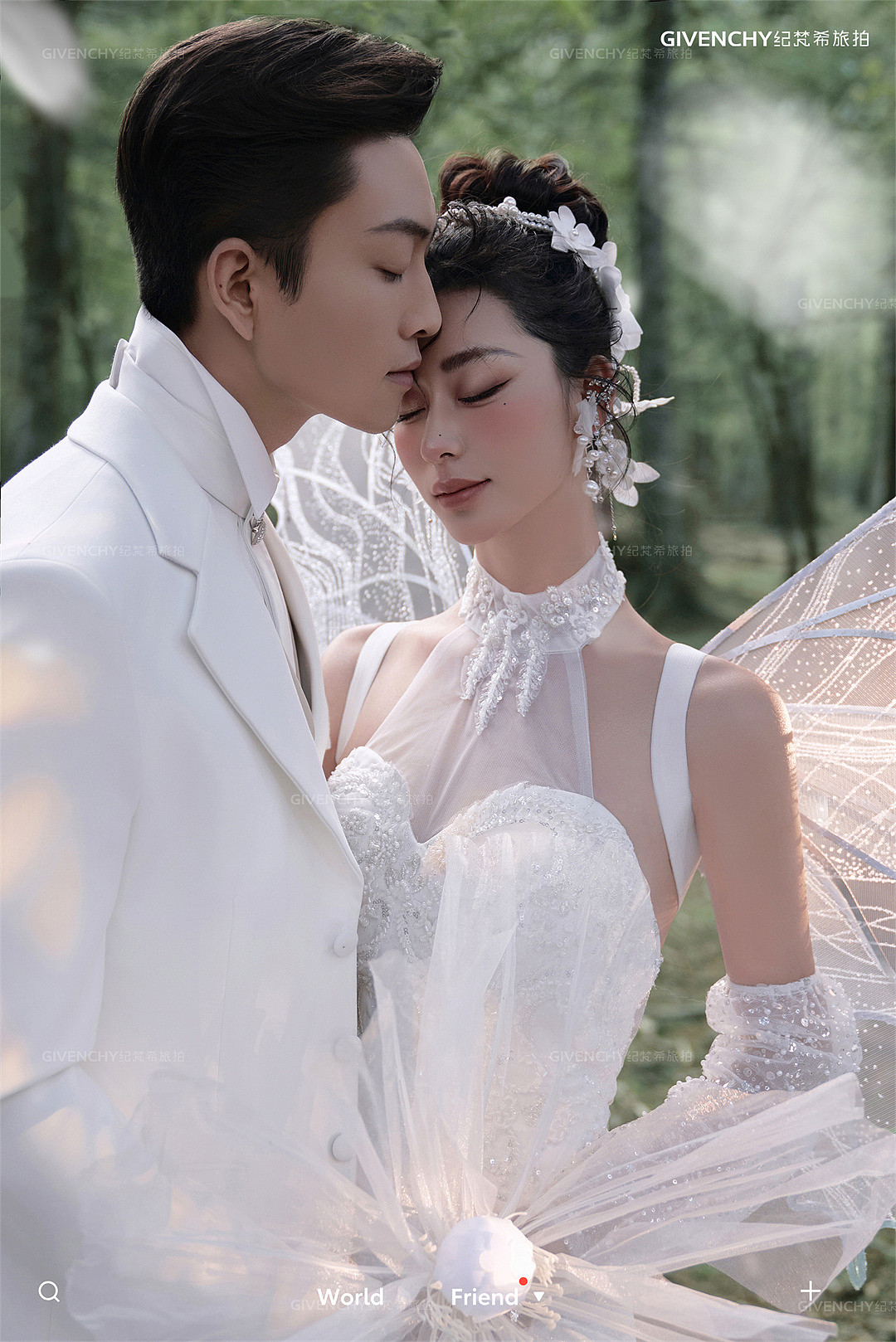 云杉坪-林中的光