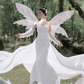 云杉坪-林中的光