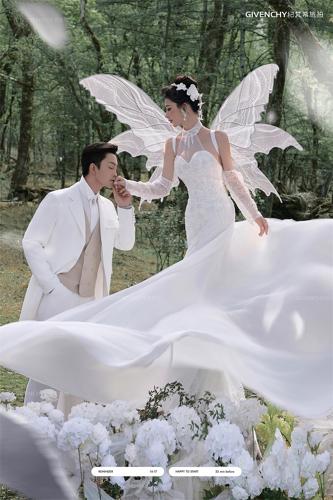 云杉坪-林中的光