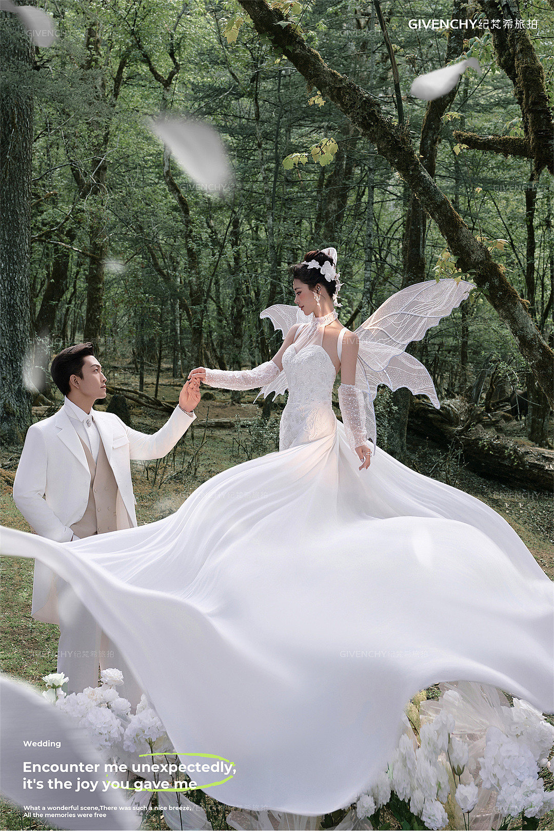 云杉坪-林中的光