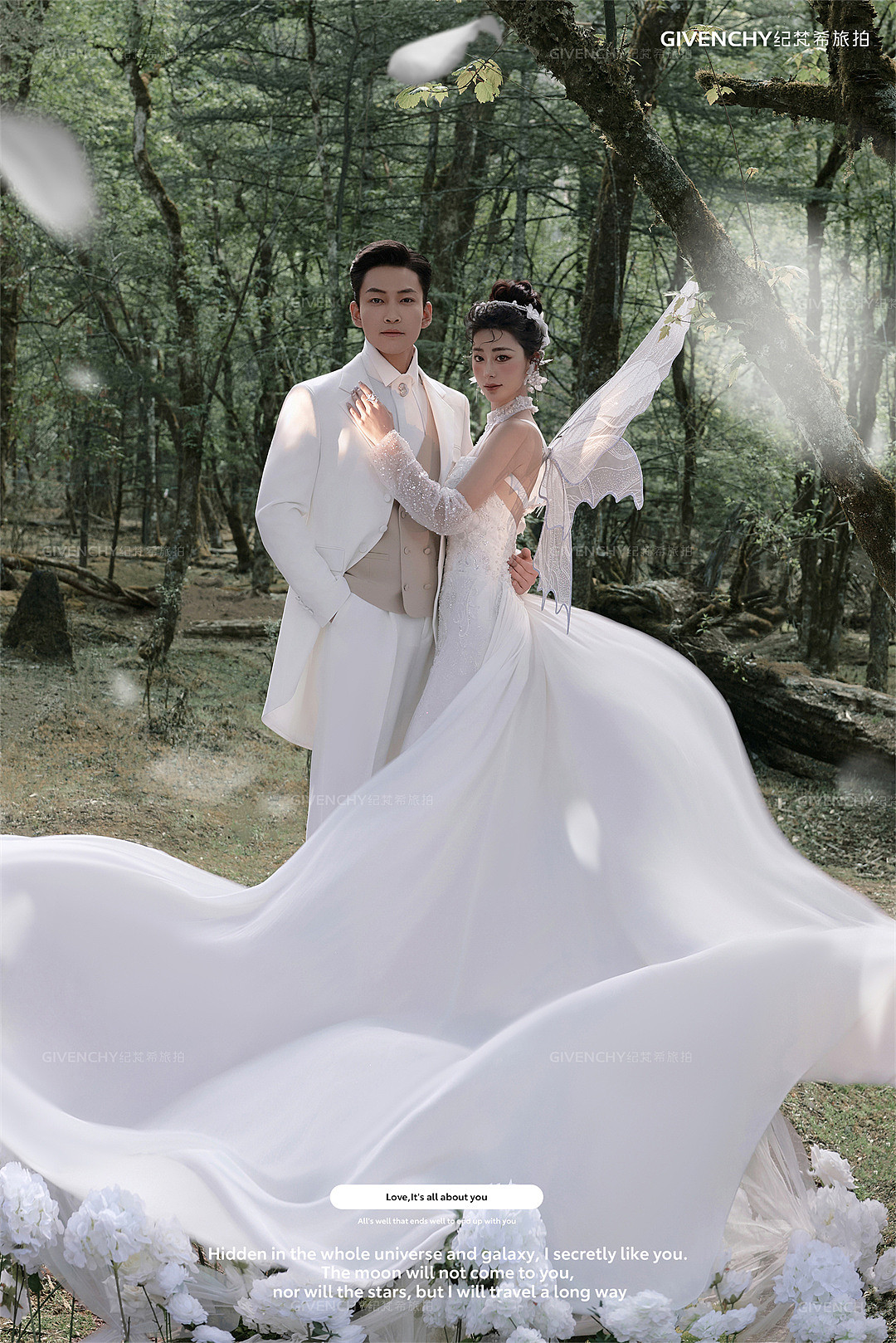 云杉坪-林中的光