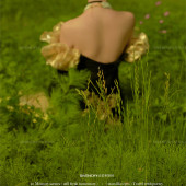 维纳斯-南法假日