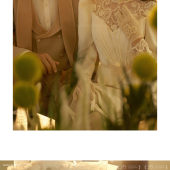 维纳斯-宫廷法式