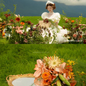 独家草坪-优雅法式