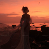 张先生❤吉女士