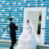 陈先生❤枚女士