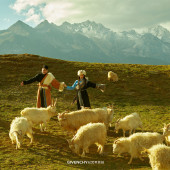 朱先生❤蒋女士