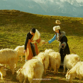 朱先生❤蒋女士