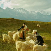 朱先生❤蒋女士