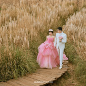 刘先生❤白女士