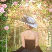 张先生❤贺女士