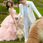 董先生❤李女士