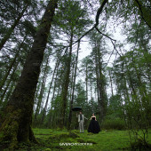 董先生❤李女士