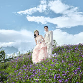 张先生❤杨女士