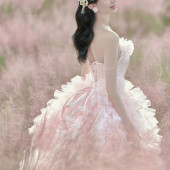 张先生❤杨女士