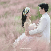 张先生❤杨女士