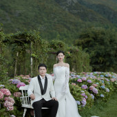 张先生❤杨女士