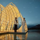 张先生❤杨女士