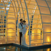 张先生❤杨女士