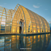 张先生❤杨女士