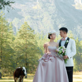 李先生❤杨女士