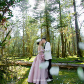 李先生❤杨女士