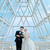 舒先生❤陈女士