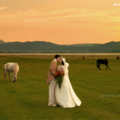 维纳斯-追逐日落