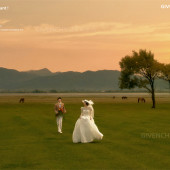 维纳斯-追逐日落