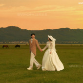 维纳斯-追逐日落