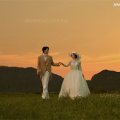 维纳斯-追逐日落