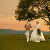 维纳斯-追逐日落