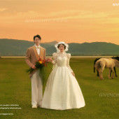 维纳斯-追逐日落