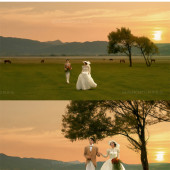 维纳斯-追逐日落