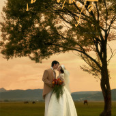 维纳斯-追逐日落