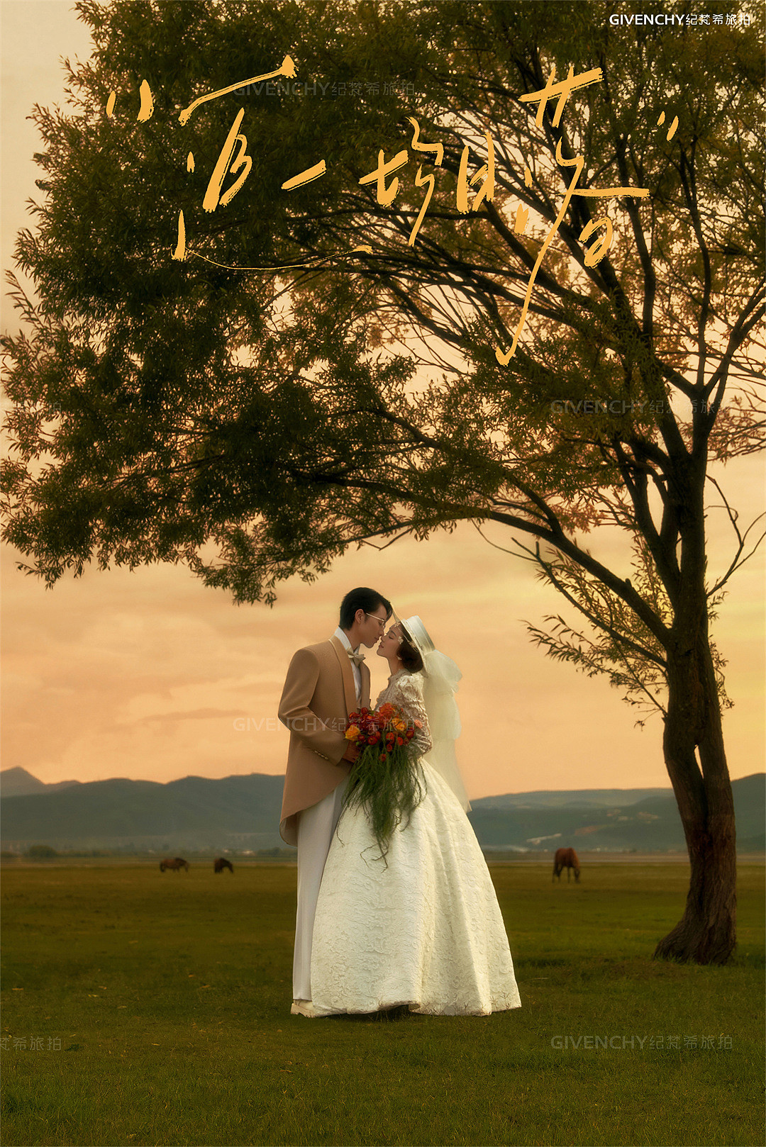 维纳斯-追逐日落