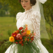 维纳斯-追逐日落