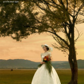 维纳斯-追逐日落