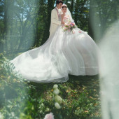 云杉坪-绿野仙踪