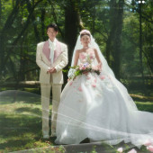 云杉坪-绿野仙踪